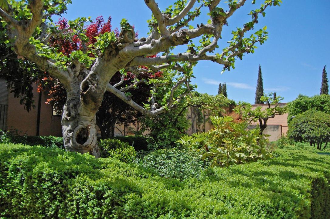 Un Vergel Al Pie De La Alhambra. Enjoy It Now!! Granada Exterior foto